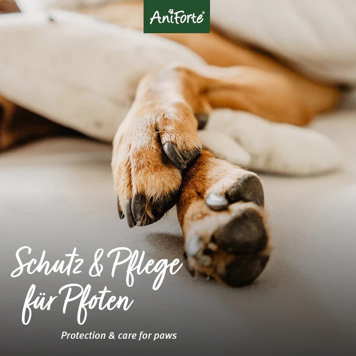 AniForte® Pfotenschutz Balsam Intensivpflege für Hunde- & Katzenpfoten 120ml