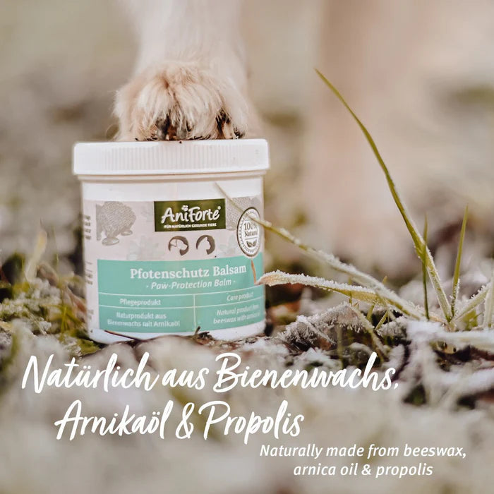 AniForte® Pfotenschutz Balsam Intensivpflege für Hunde- & Katzenpfoten 120ml