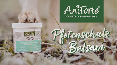 AniForte® Pfotenschutz Balsam Intensivpflege für Hunde- & Katzenpfoten 120ml
