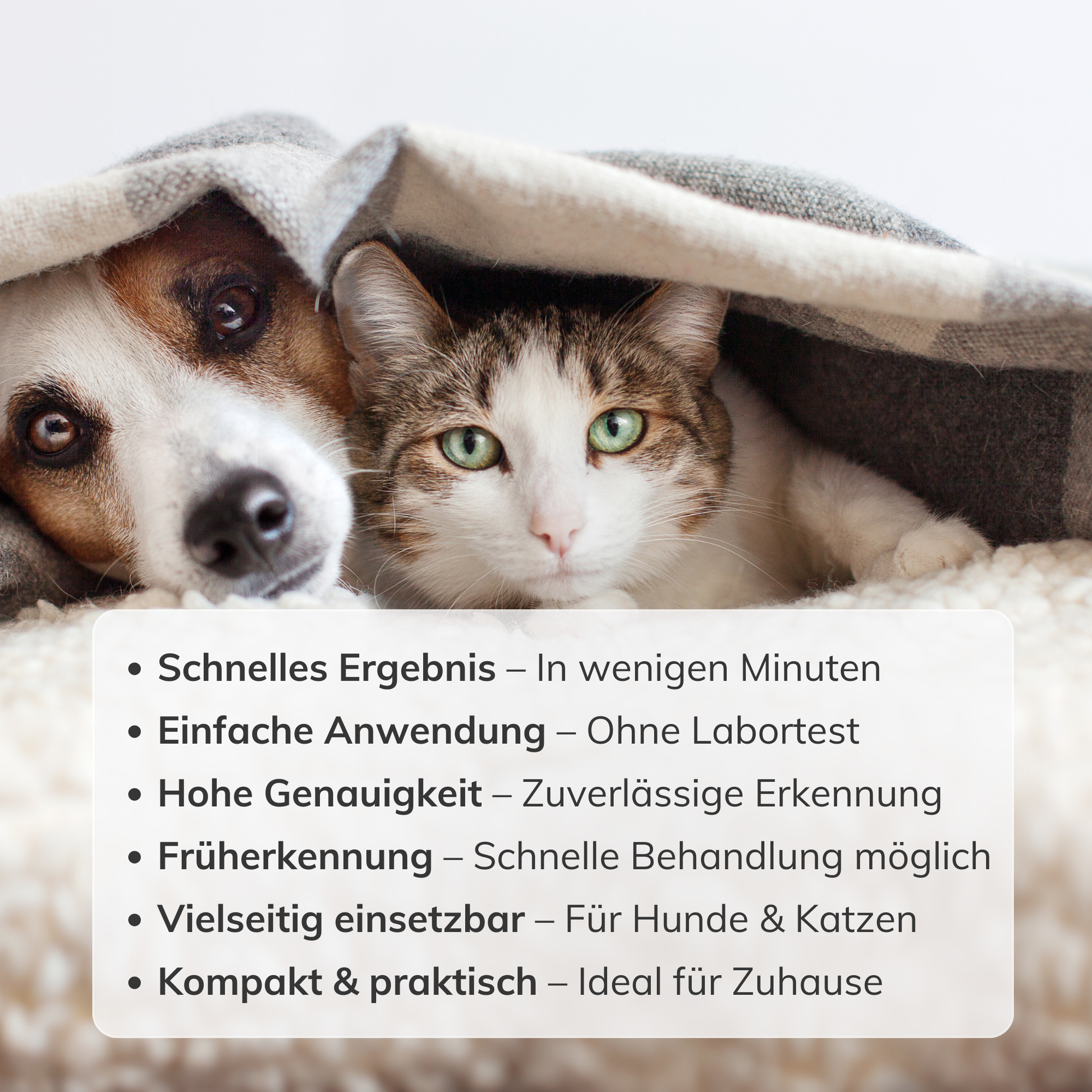 Giardientest Schnelltest für Zuhause ohne Labor