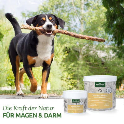 AniForte® WermiX für Hunde 20g