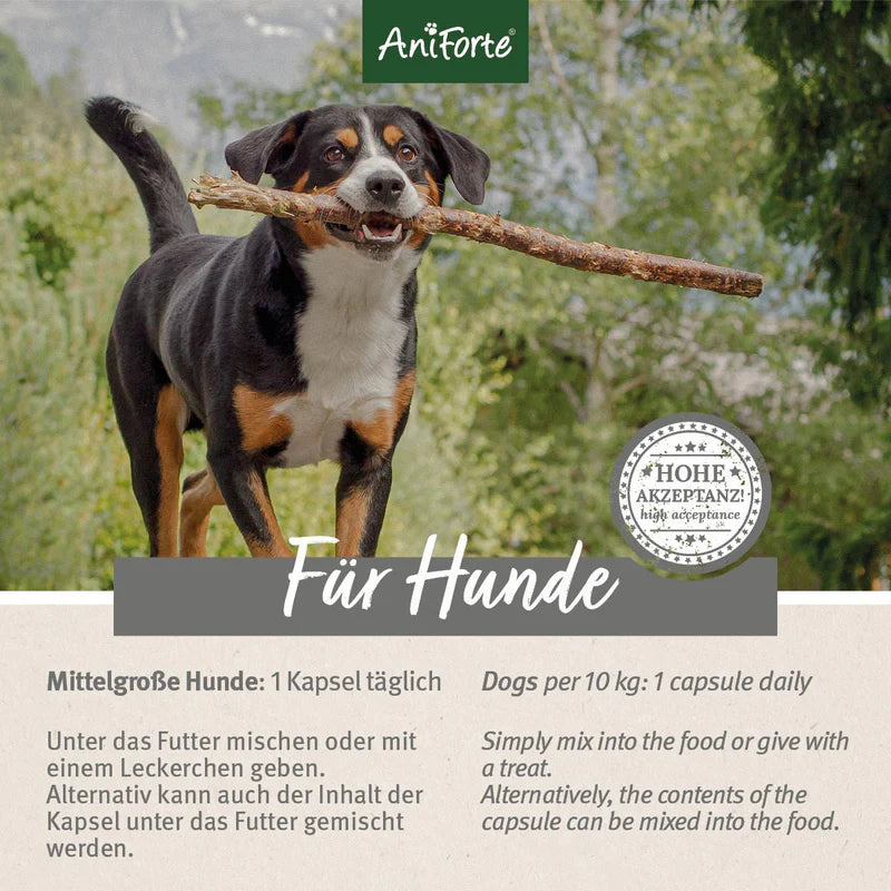 AniForte® ZeckenSchild – Nahrungsergänzung für Hunde zur Zeckenabwehr